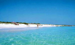 Las Mejores Playa De Mallorca Hort De Cas Misser Playa De Es Trenc