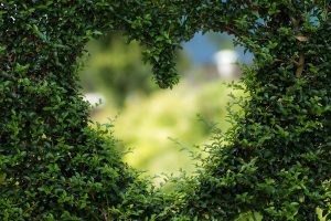Una Escapada Romántica Al Corazón De Mallorca Hort De Cas Misser